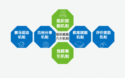 新奥天天正版资料大全|最佳解释解析落实