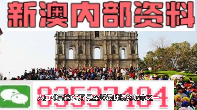 新澳门正版免费资料怎么查|最佳解释解析落实
