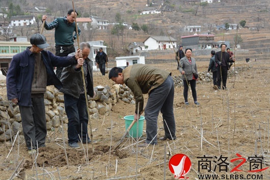 时间管理 第369页