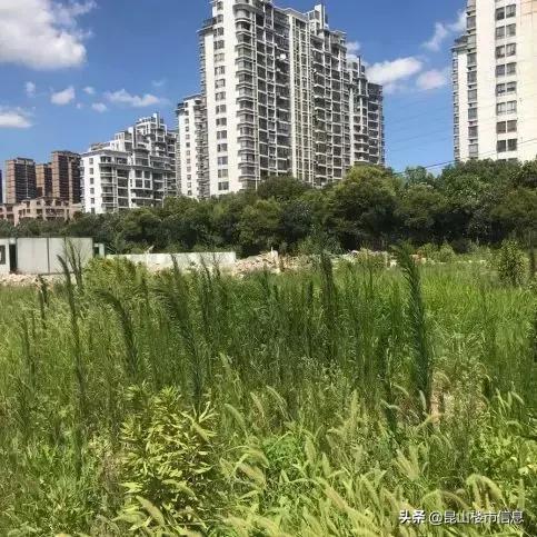 时间管理 第352页