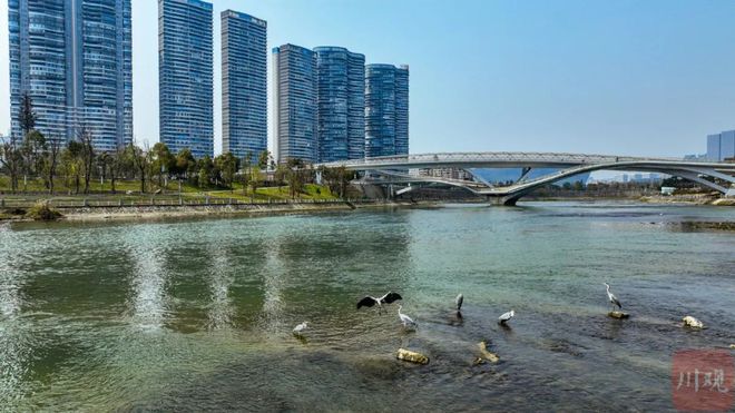 自主学习 第312页