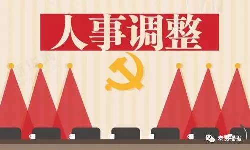 洛阳市最新人事调整，城市发展的坚实力量与未来展望
