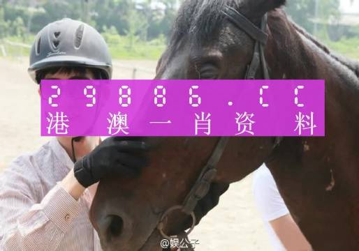 今晚澳门精准一肖一马,今晚澳门精准一肖一马，探索命运的神秘之门