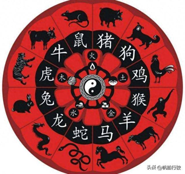 白小姐三肖三码三肖,白小姐三肖三码的秘密，探寻幸运之门的奥秘