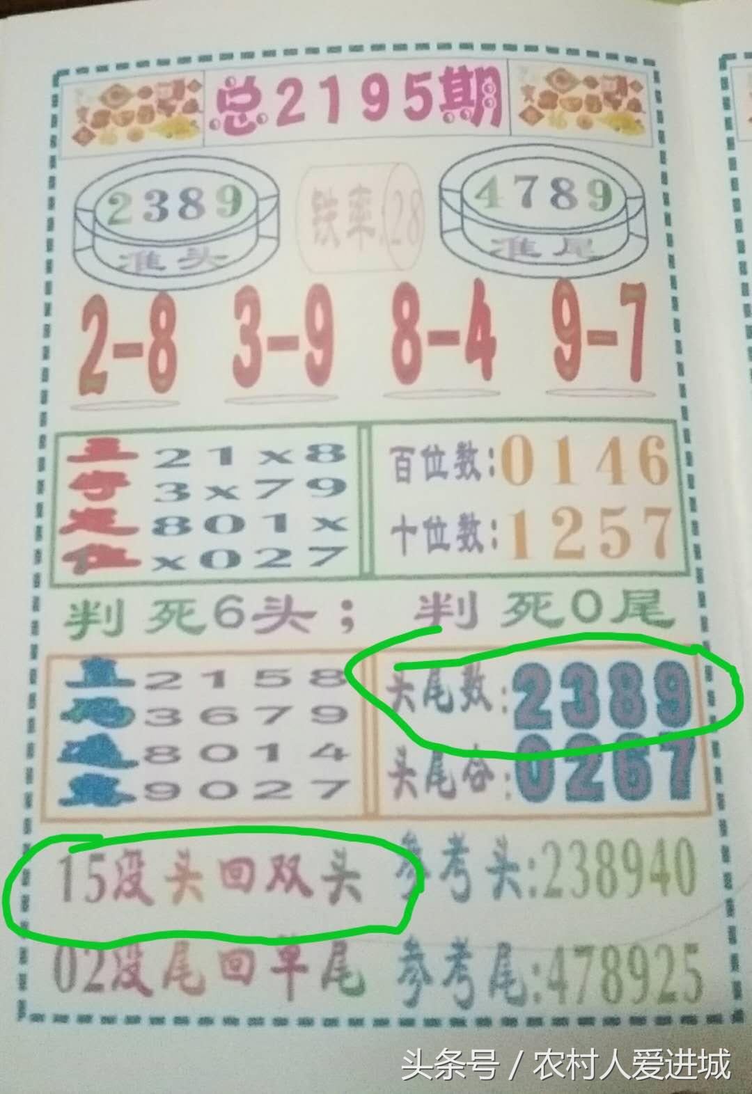 新澳门中特期期精准,新澳门中特期期精准，探索与解读