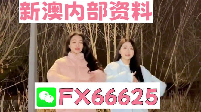 管家婆最准一码一肖9387期,管家婆最准一码一肖，揭秘彩票背后的秘密与期待——以9387期为观察点