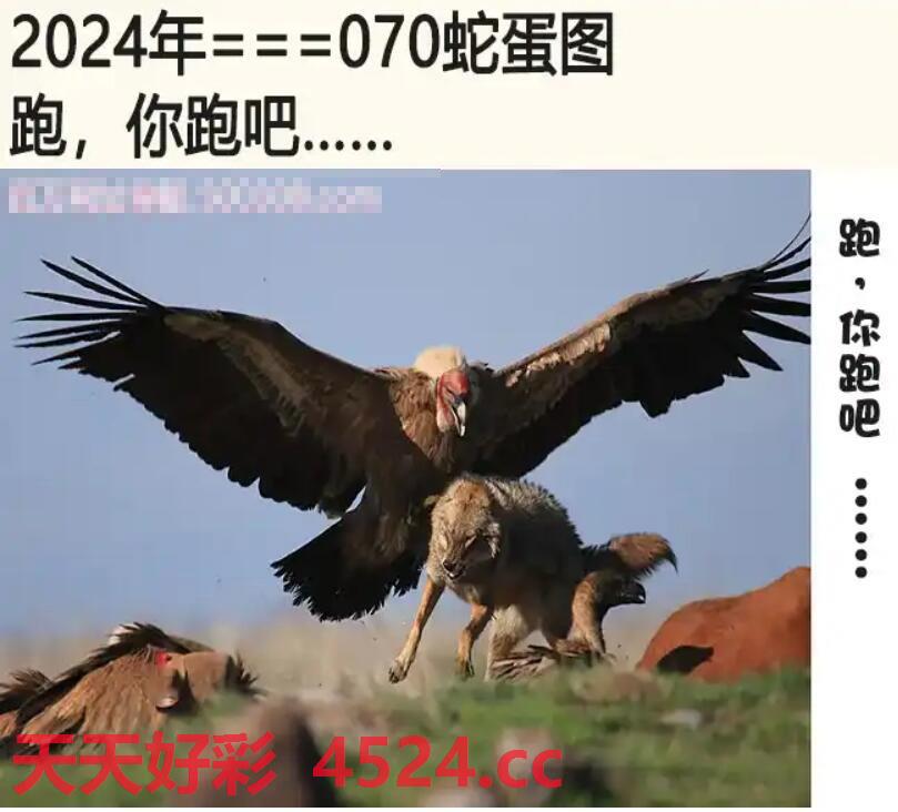 蛇蛋图澳门正版最新版,蛇蛋图澳门正版最新版，揭示神秘与魅力