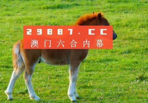 2004年新澳门一肖一码,探索2004年澳门新一肖一码的奥秘