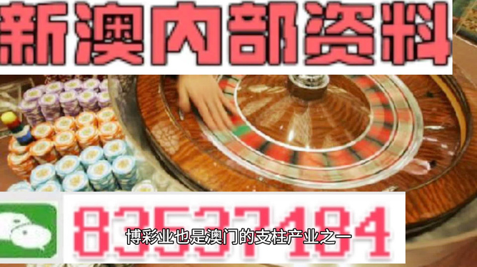 澳门最精准正最精准龙门蚕,澳门最精准正最精准龙门蚕——探索与解析