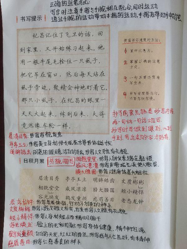 四肖八肖期期准资料长期免费,四肖八肖期期准资料长期免费，揭秘背后的秘密与真相