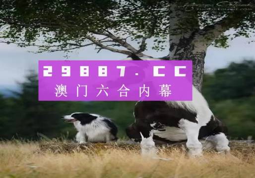澳门正版一肖一码,澳门正版一肖一码，探索背后的神秘与魅力