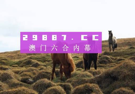 新澳门2025今晚开什么,探索新澳门，2025今晚的开彩奥秘