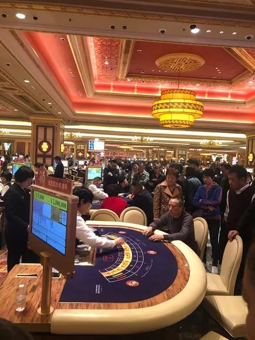澳门高级内部vip资料,澳门高级内部VIP资料，揭秘其背后的秘密与重要性